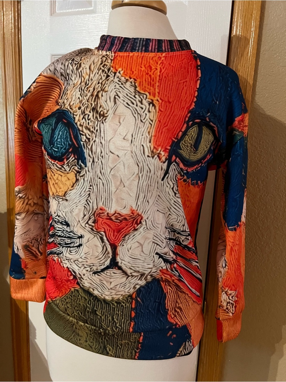 Colorful Cat Face Pullover Sweatshirt